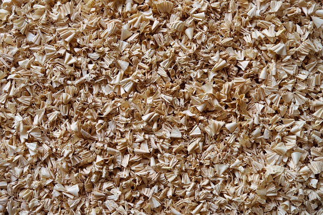 tortilla-chips-640x480-24780442.jpeg