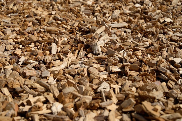 Tortilla Chips