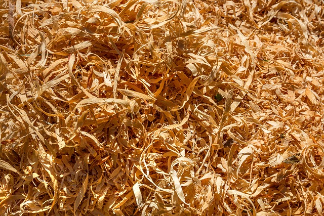 Tortilla Chips