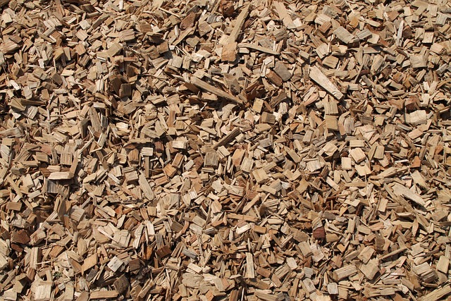 tortilla-chips-640x480-67608998.jpeg