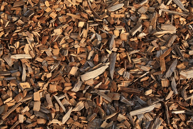 Tortilla Chips