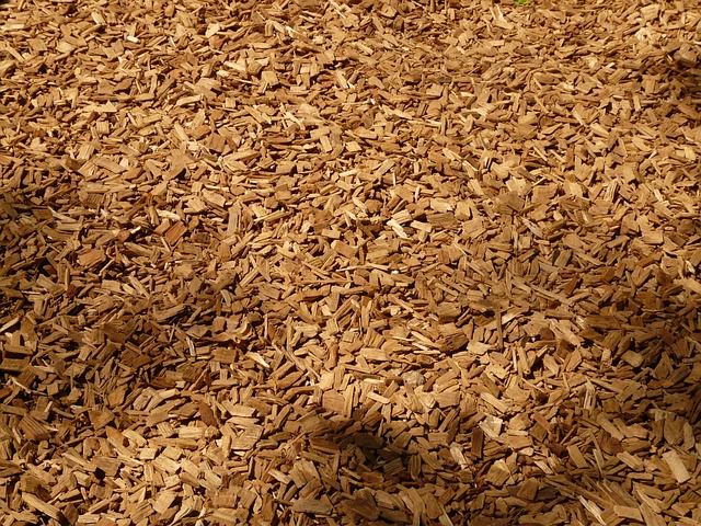 Tortilla Chips