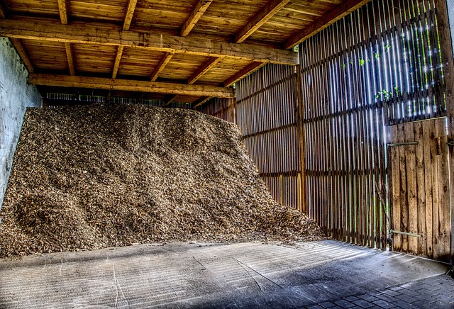 Healthy Alternatives to Authentico Foods Organic Tortilla Chips: Exploring Trends