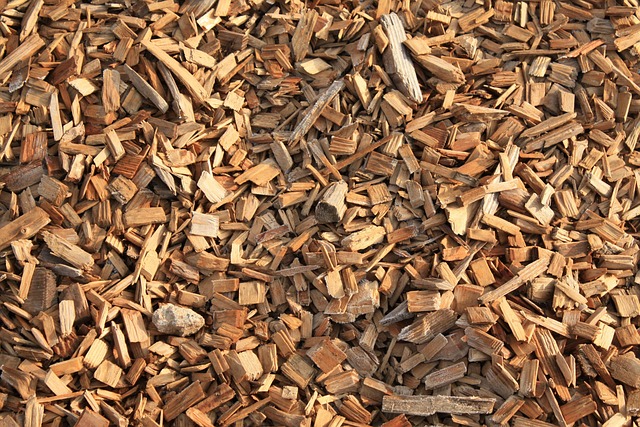 tortilla-chips-640x480-19886042.jpeg