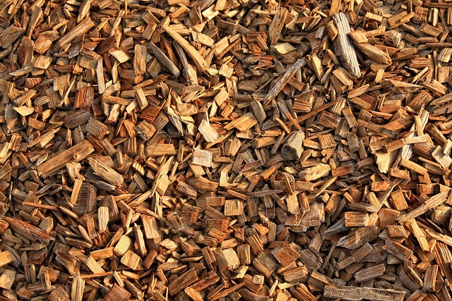 Tortilla Chips