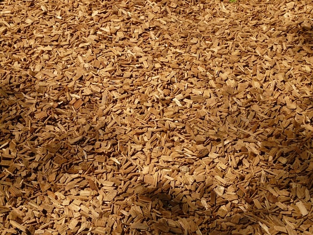 Tortilla Chips