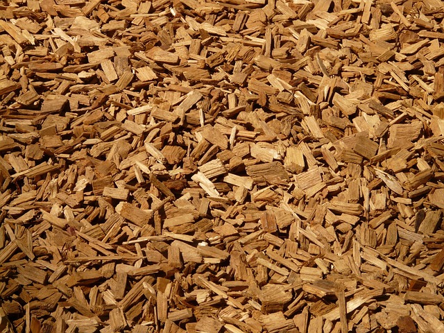 Tortilla Chips