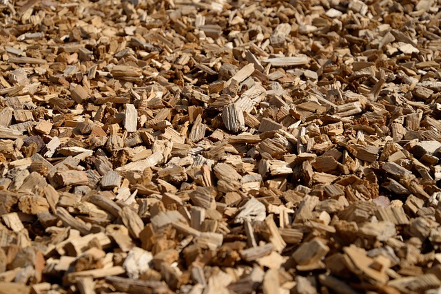 tortilla-chips-640x480-60117223.jpeg