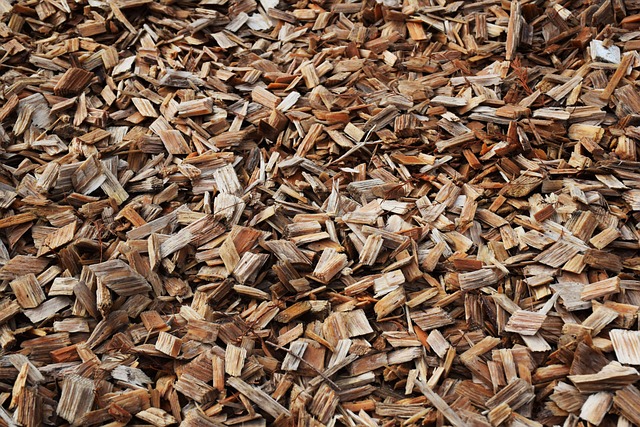 Tortilla Chips