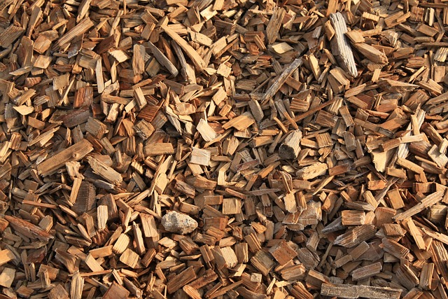 Tortilla Chips
